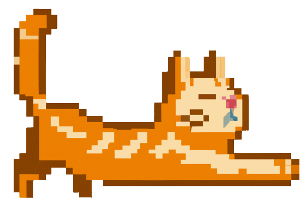 A cat stretching